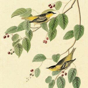 Meet your Posher, Molly